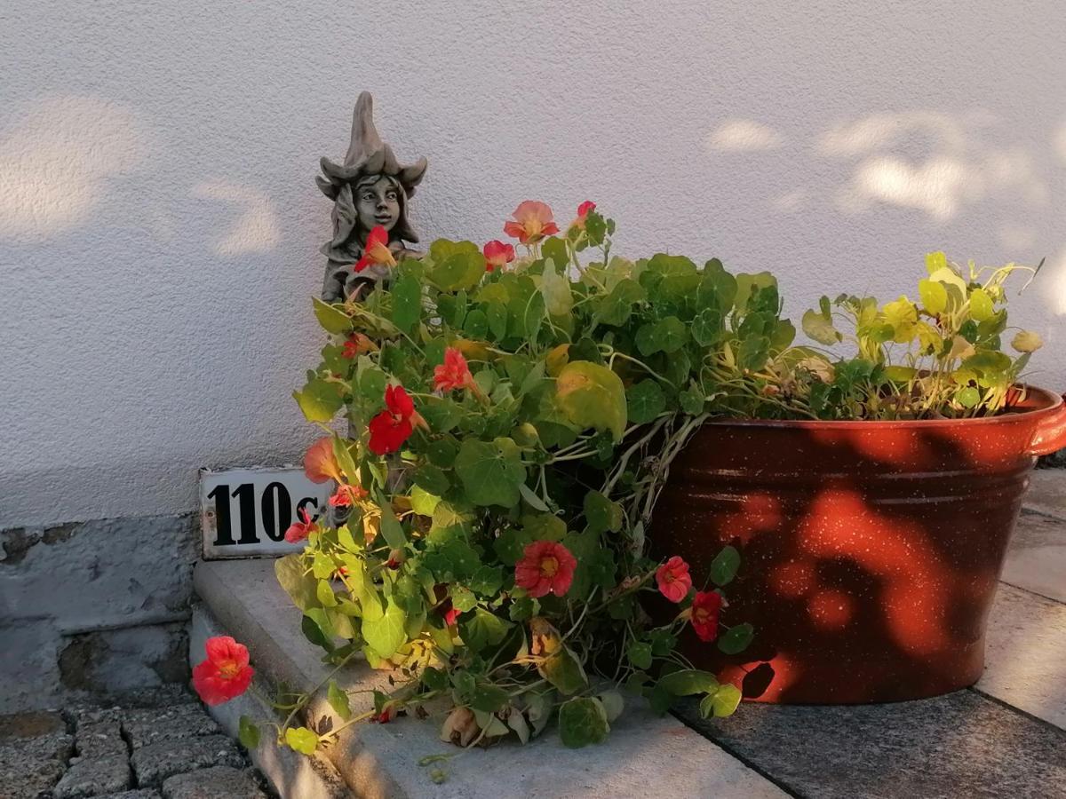 Kaethes Sommerhaus Schöna Buitenkant foto